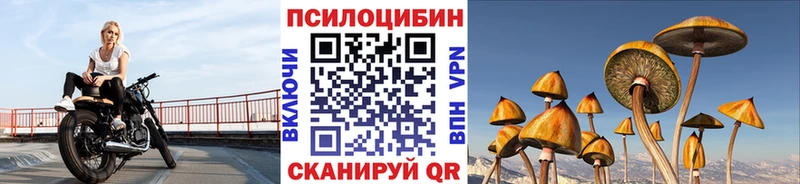 Галлюциногенные грибы прущие грибы Новосибирск
